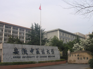 Top Fakultas di Anhui University yang Terkemuka